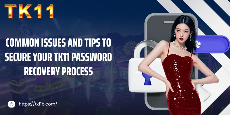 Common issues and tips to secure your TK11 password recovery process