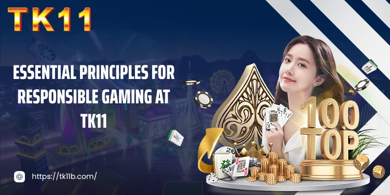 Essential principles for responsible gaming at TK11