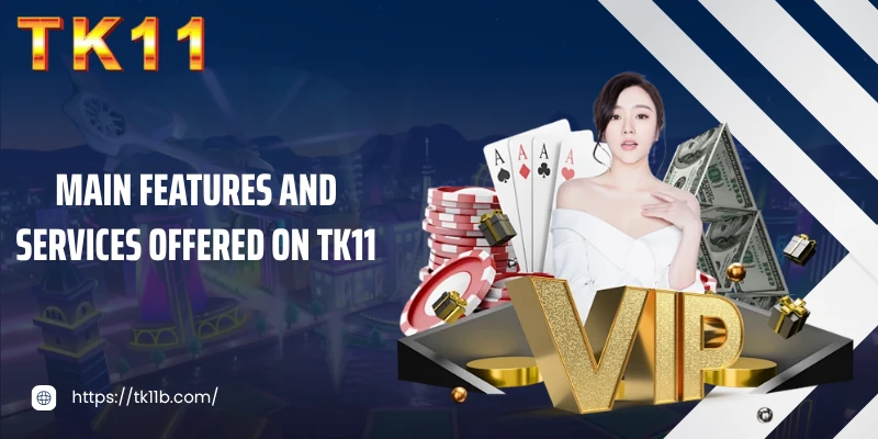 Main features and services offered on TK11